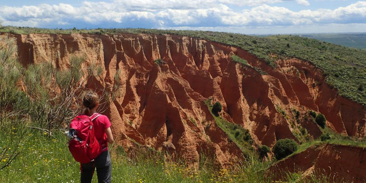 Las Cárcavas son zanjas, barrancos o surjos, que se han formado por la erosión hídrica en esta zona con pendiente y poca vegetación