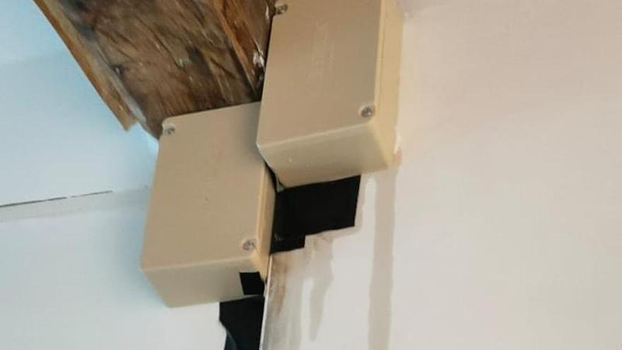 Un estudio con tintes  en los cebos revela que los termiteros alcanzan un radio de 50 metros