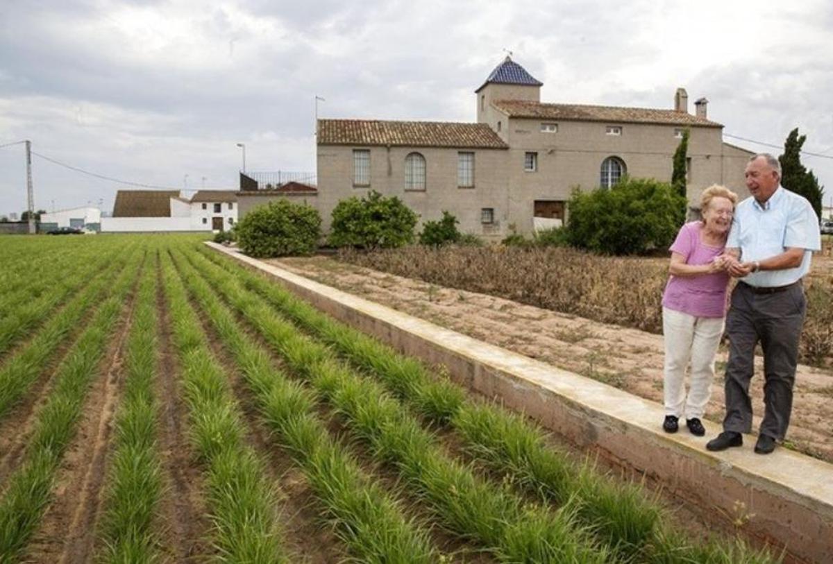 Un agricultor de chufa y su mujer pasean por un campo de chufa de valencia con denominación de origen.