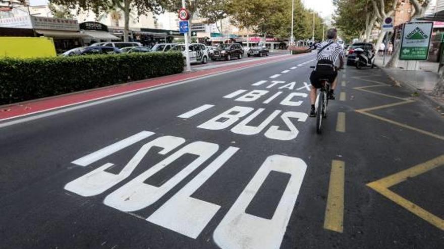 El carril bus-bici-taxi de la avenida del Mediterráneo de Benidorm.