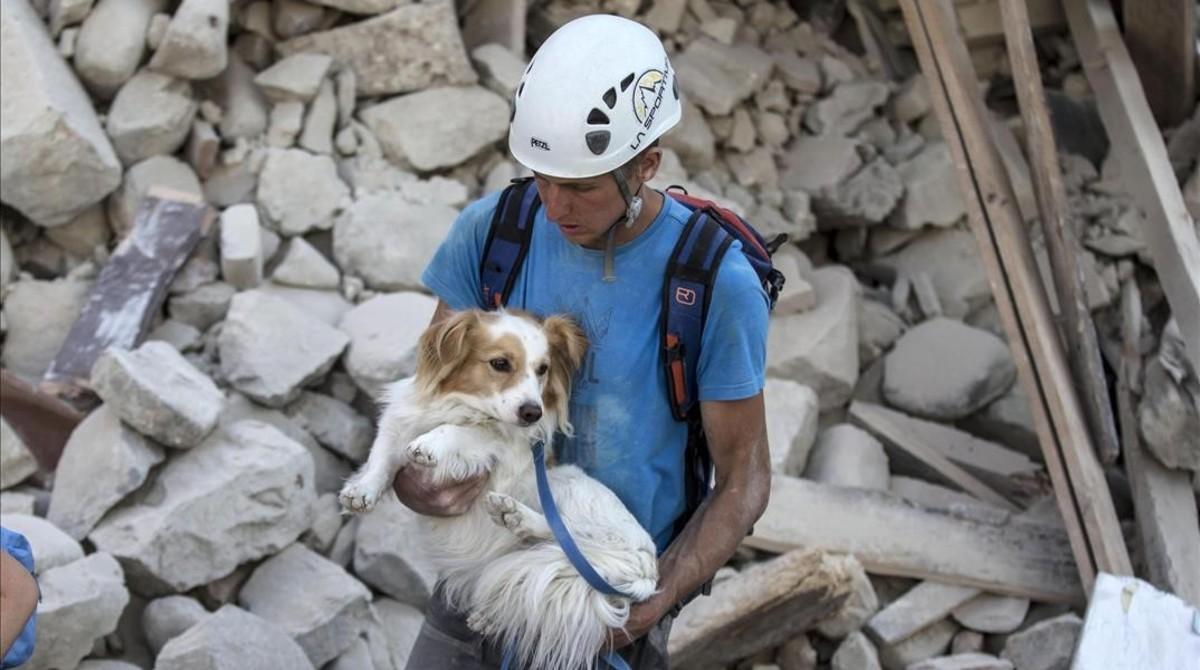 mmgallardo35277803 ita48 amatrice  italia   24 08 2016   un voluntario salva a 160825135704