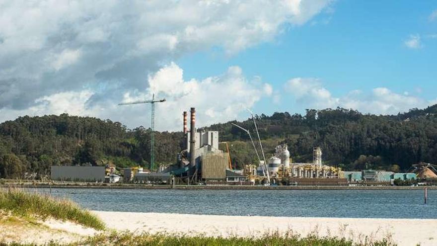 Imagen de la biofábrica de Ence en Lourizán. // Cedida