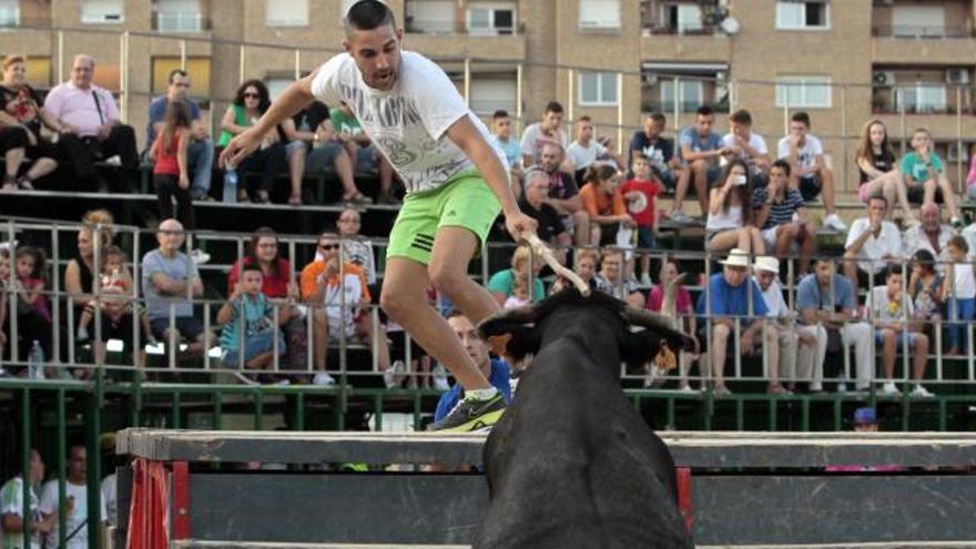 Un joven reta al toro subido a una barrera durante los festejos de Xirivella.