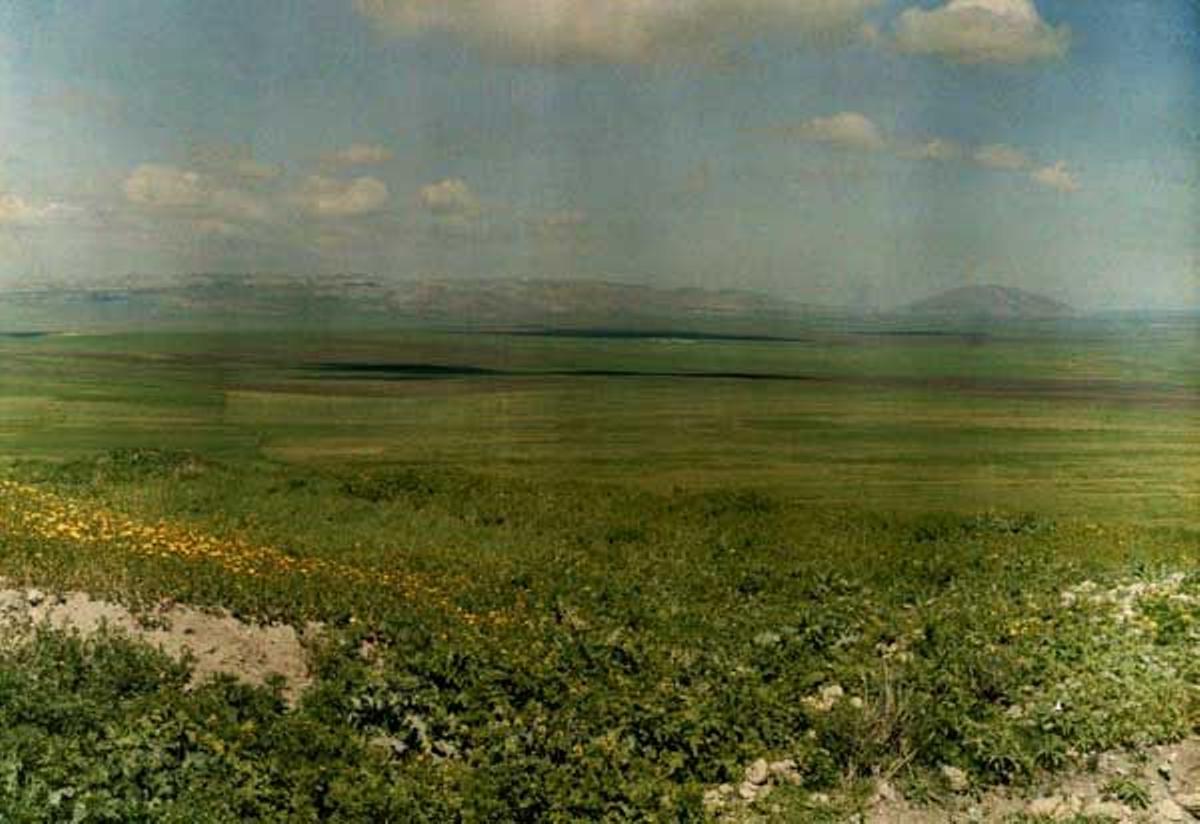 Valle de Jezreel, o Llanura de Esdrelón, al norte de Israel.