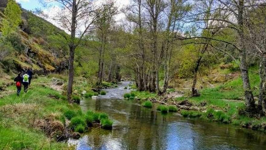 Paraje del Ujo en Nuez de Aliste.