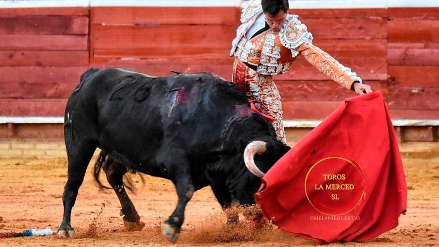 David de Miranda, profeta en su tierra...