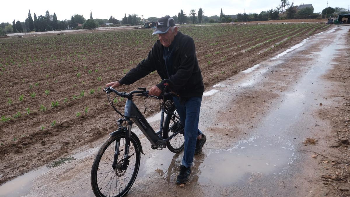 Un bancal del Camp d'Elx después de las lluvias de este miércoles