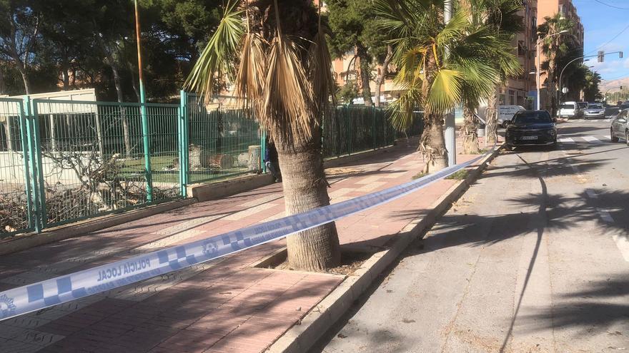 La Policía Local interviene en 22 caídas de árboles y ramas por el fuerte viento