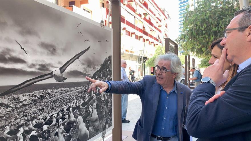 Un museo al aire libre en pleno centro de Benidorm