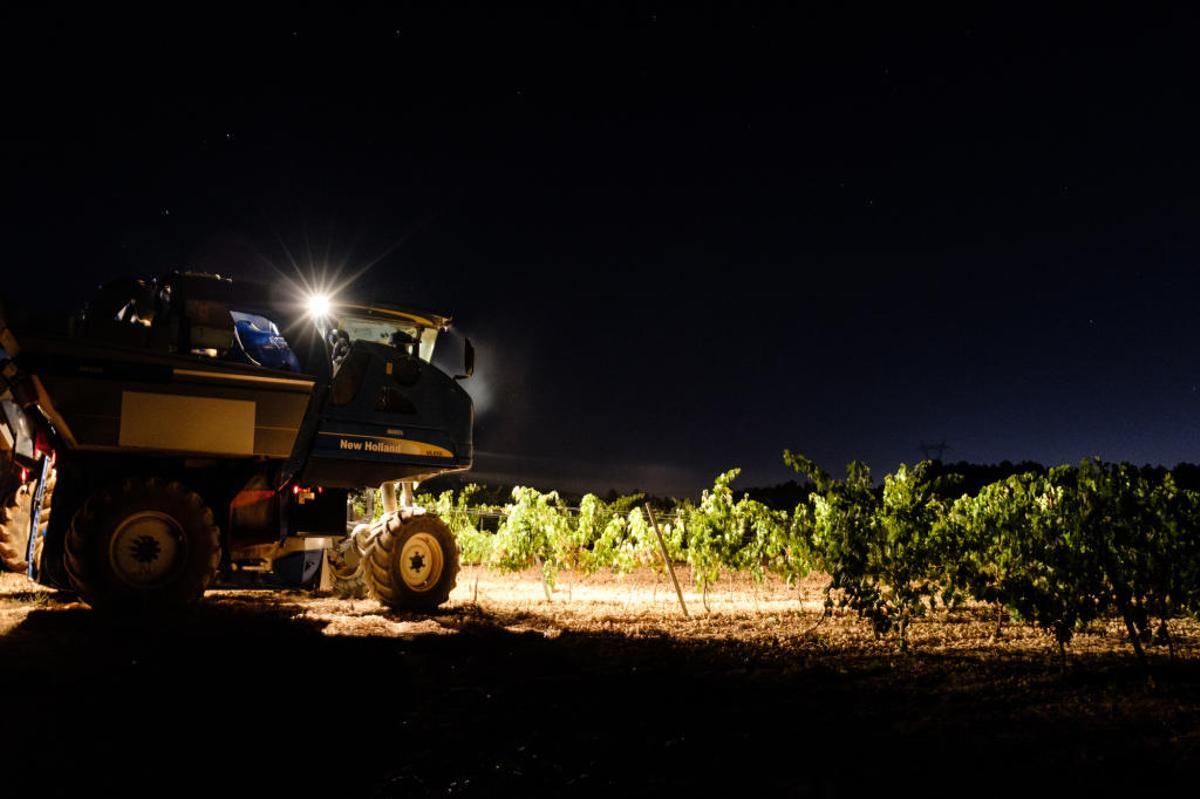 El origen de los mejores vinos de Bodegas Nodus