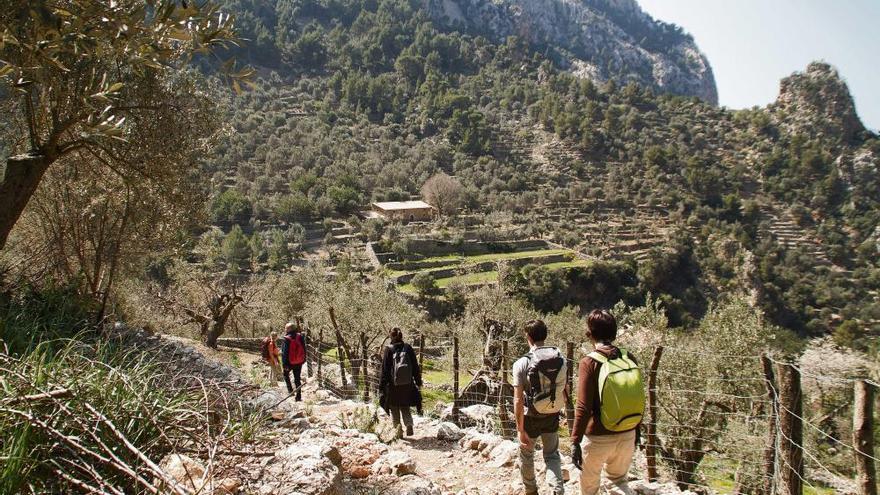 Una manera única  de descubrir la Serra de Tramuntana