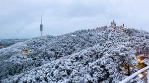 Neu a Barcelona: així s’ha despertat Collserola avui