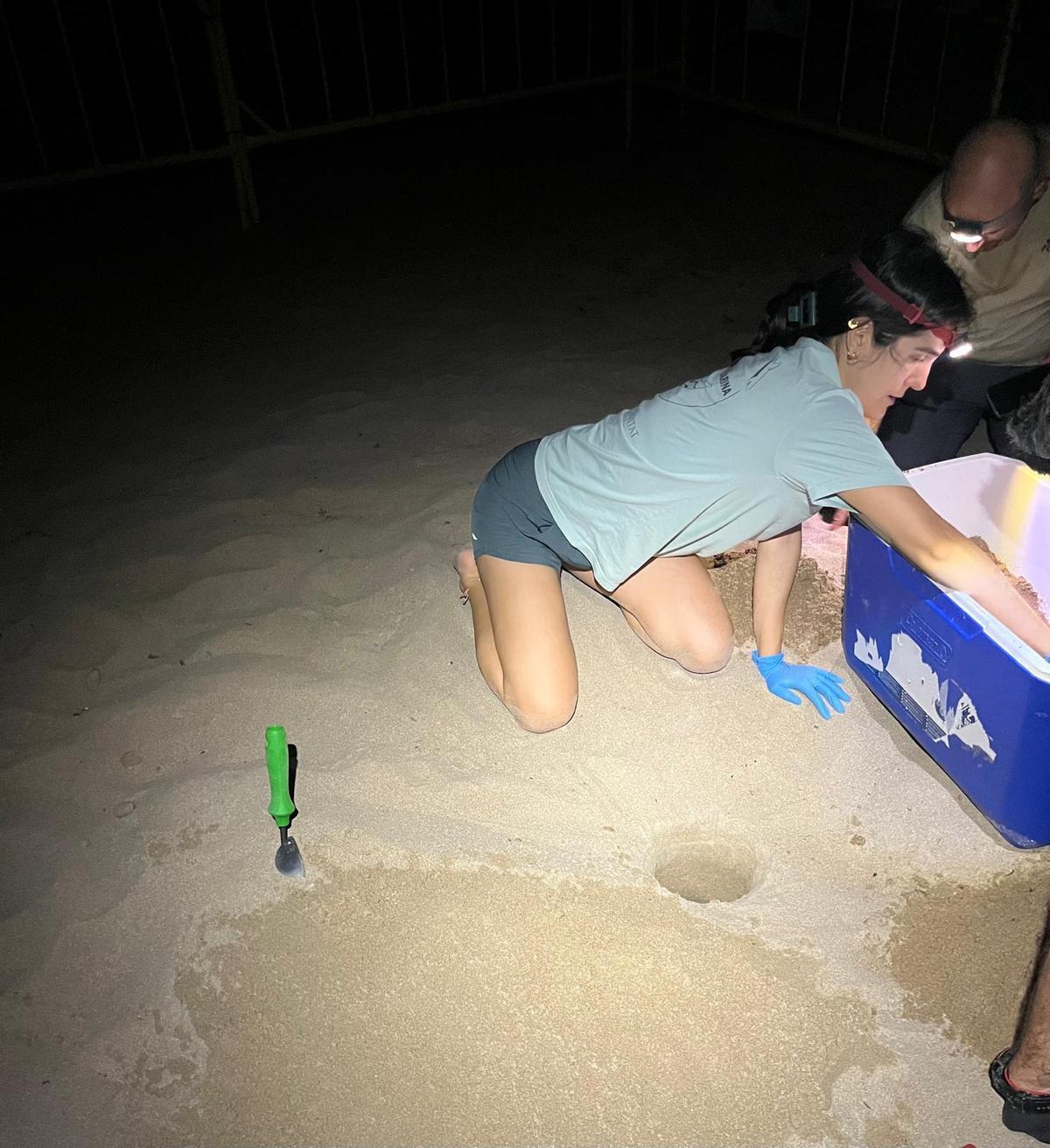 Las imágenes de la puesta de la tortuga Mona en Dénia