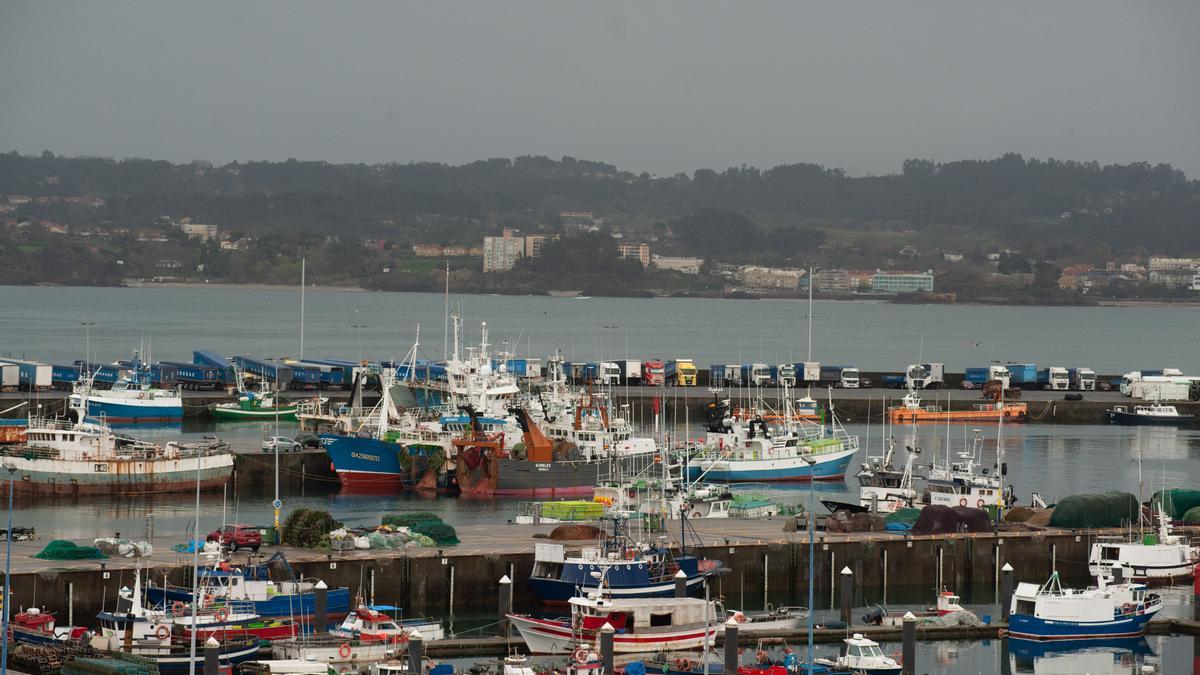 Flota en los muelles de Oza.