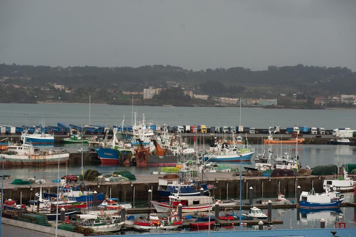 Flota en los muelles de Oza.