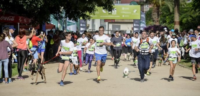 16/12/2018 LAS PALMAS DE GRAN CANARIA. Carrera ...