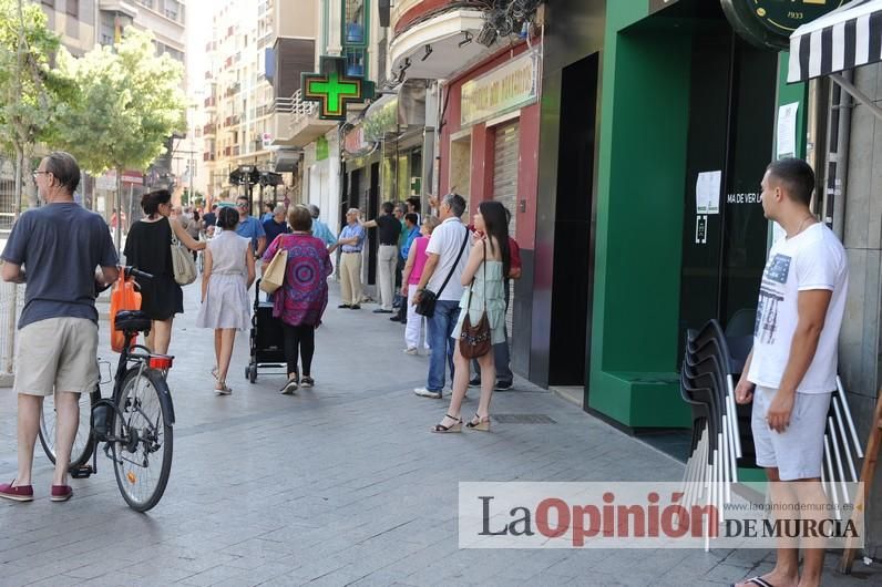 El día después de la caída de la rama del ficus de