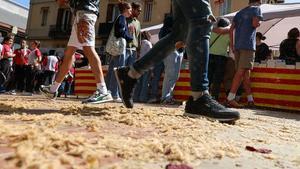 Polen de los plátanos en Barcelona, el dia de Sant Jordi