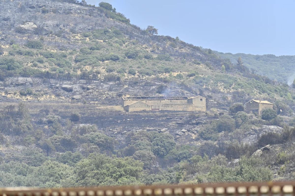 Varias parideras calcinadas por el incendio, cerca de Uncastillo.