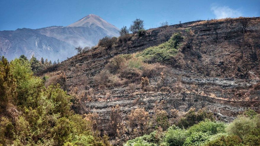 The fire affected rural farms and the entire mount of San Juan de la Rambla