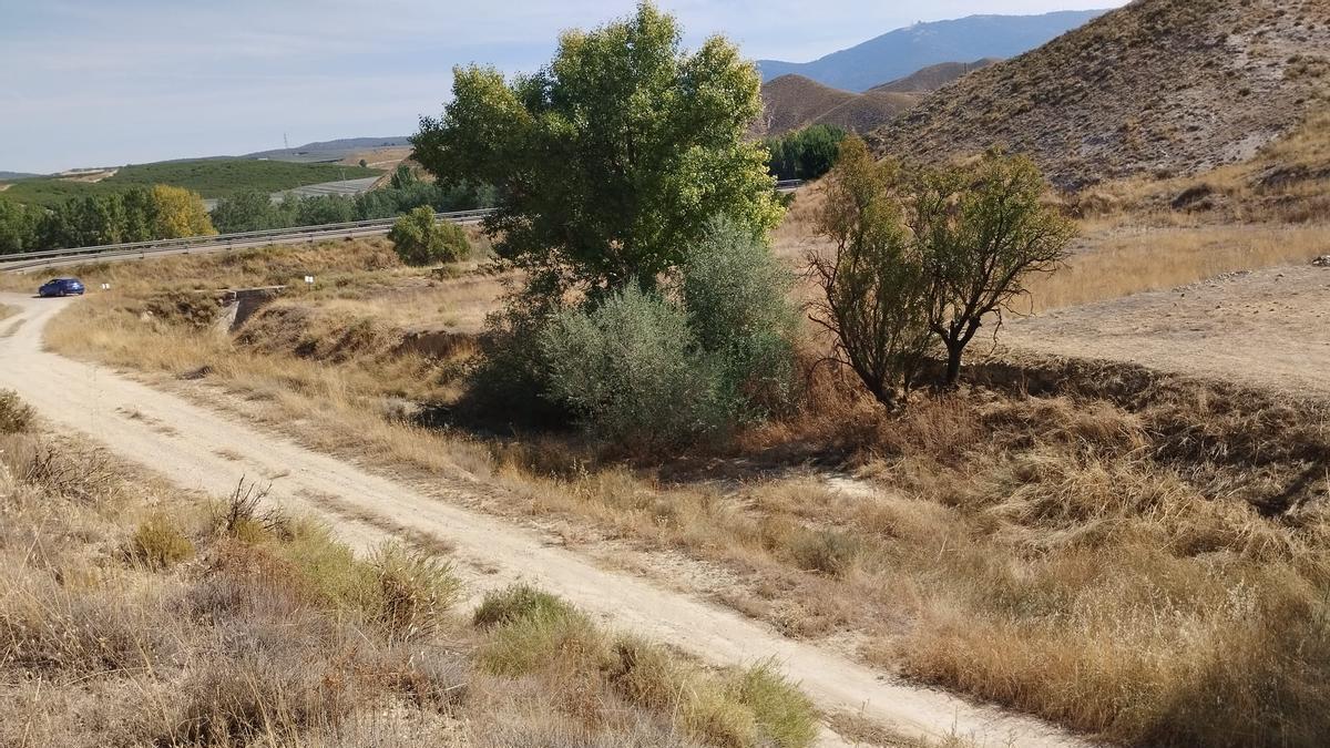 El barranco de Cortasogas, en Calatayud, donde se buscará la fosa en la que pueden estar los restos de ocho vecinos represaliados.