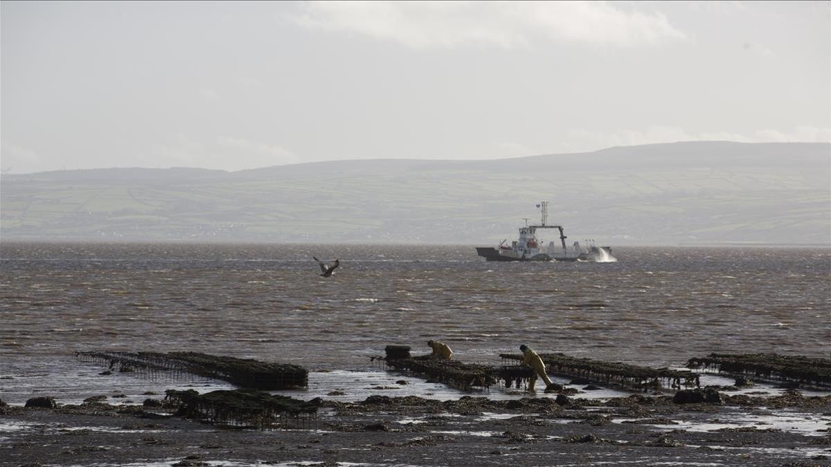 brexit ue reino unido pesca