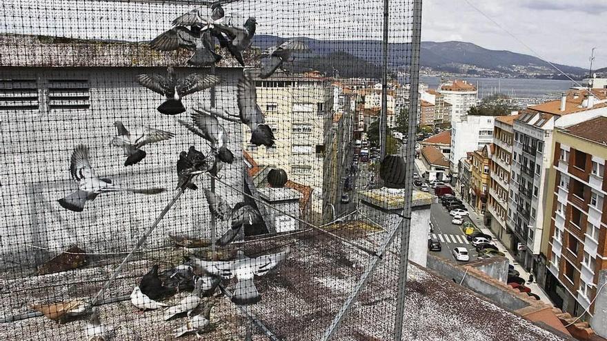 Uno de los edificios donde se realiza el control de aves. // S.A.