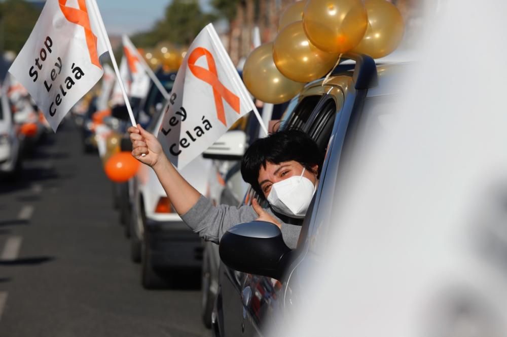 El centro de Murcia vuelve a llenarse de vehículos para protestar contra la Ley Celaá