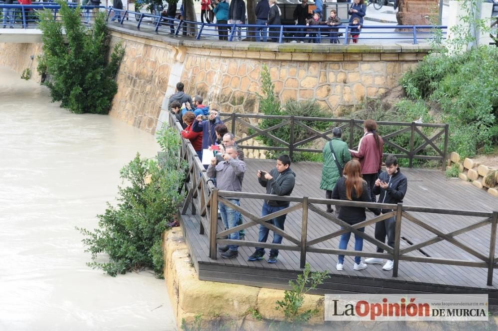 Crecida del Río Segura