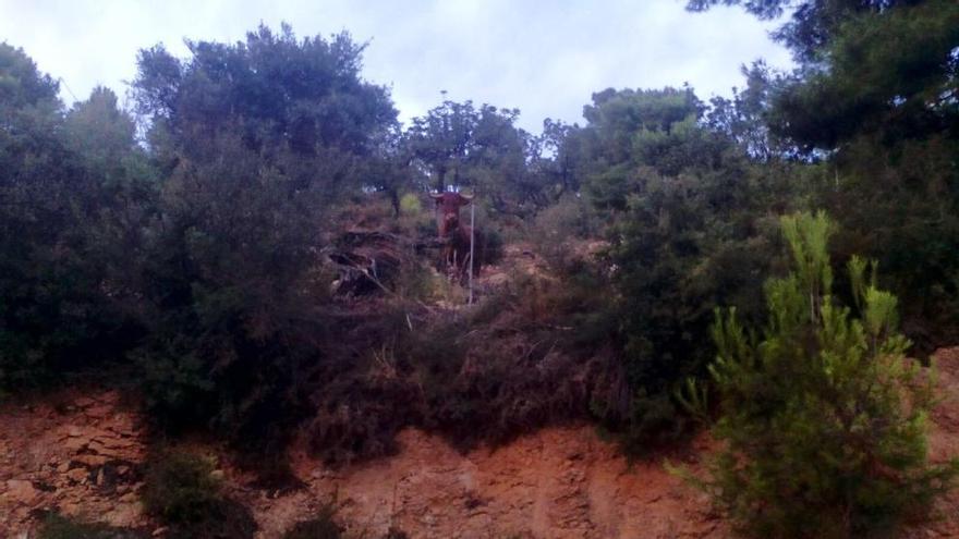 La vaca que se escapó en las fiestas de la Vilavella vuelve al redil 15 días después