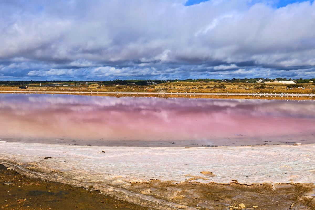 Las Marismas de Isla Cristina son un enclave natural único