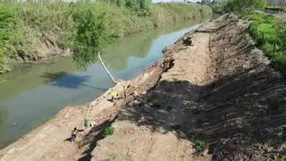 La Mancomunitat impulsa una nueva restauración del Júcar en Alzira y una brigada forestal para 14 municipios afectados por la dana