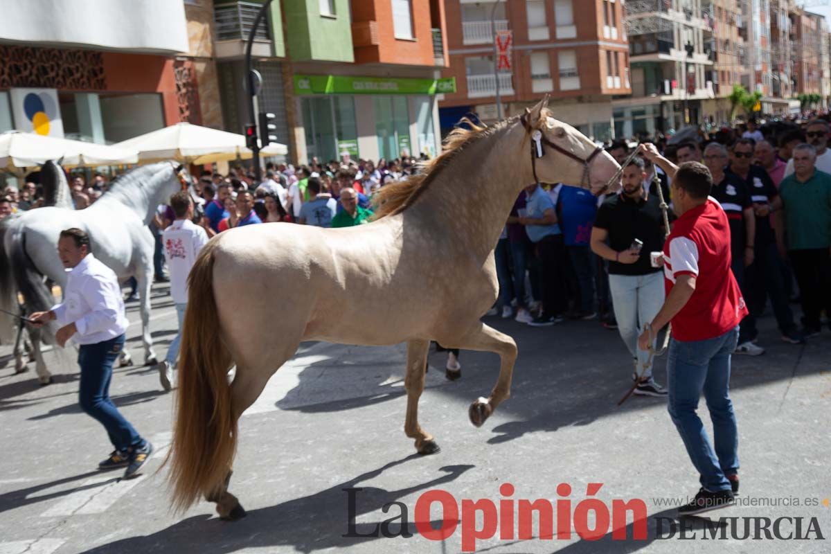 Pasacalles caballos del vino al hoyo