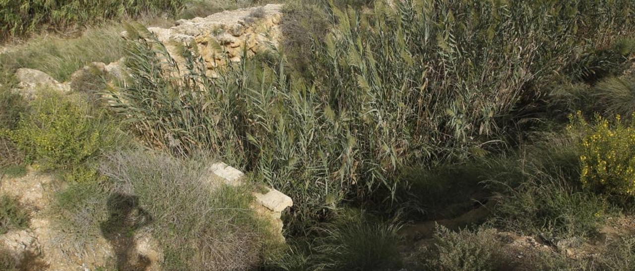 Cauce de la Rambla de Orgegia en el término de Alicante.