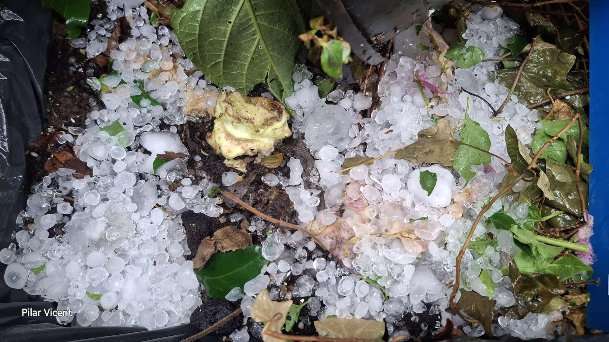 Estas son las consecuencias de la granizada en Vilavella