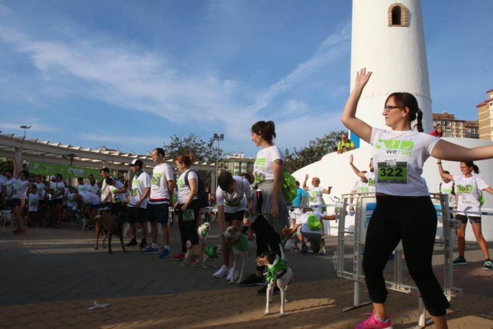 El Parque Huelin ha acogido la primera edición de un evento destinado a las mascotas y a sus dueños, con carreras en diversas categorías, actividades gratuitas y numerosos stands