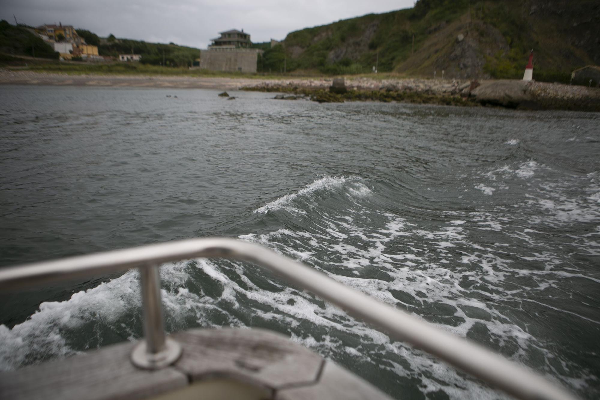 En imágenes: Avilés recupera sus paseos por la ría