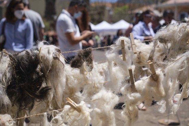 Feria de la Lana de La Orotava