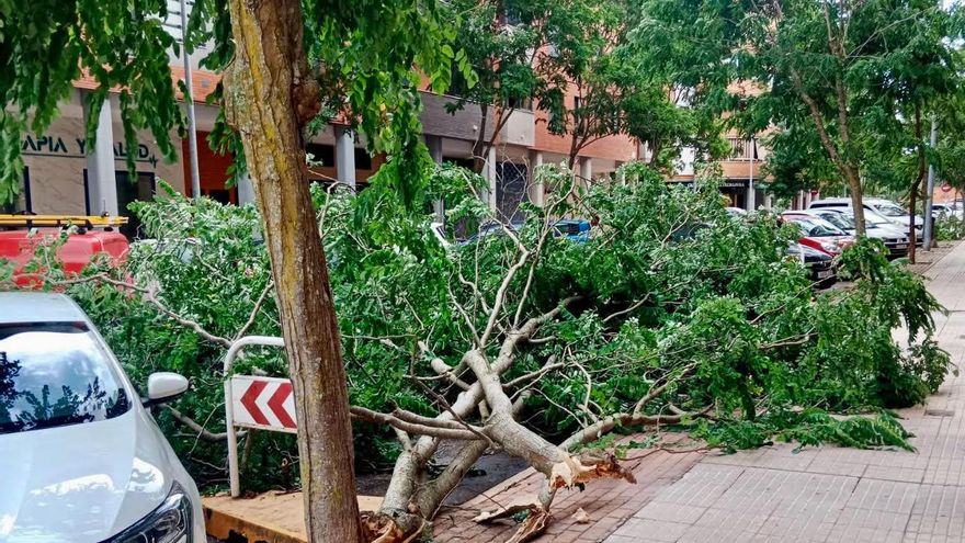 El Ayuntamiento de Cáceres suma nuevas indemnizaciones por caídas en espacios públicos
