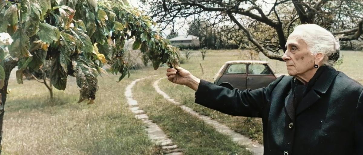 Dolores Ibárruri, Pasionaria.