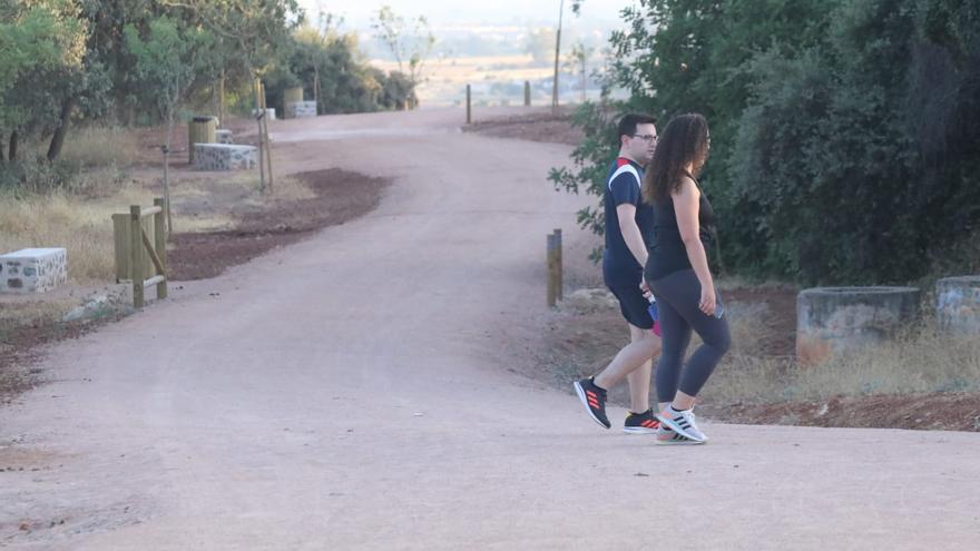 Urbanismo ya tiene empresa para las obras de mejora en el parque del Patriarca