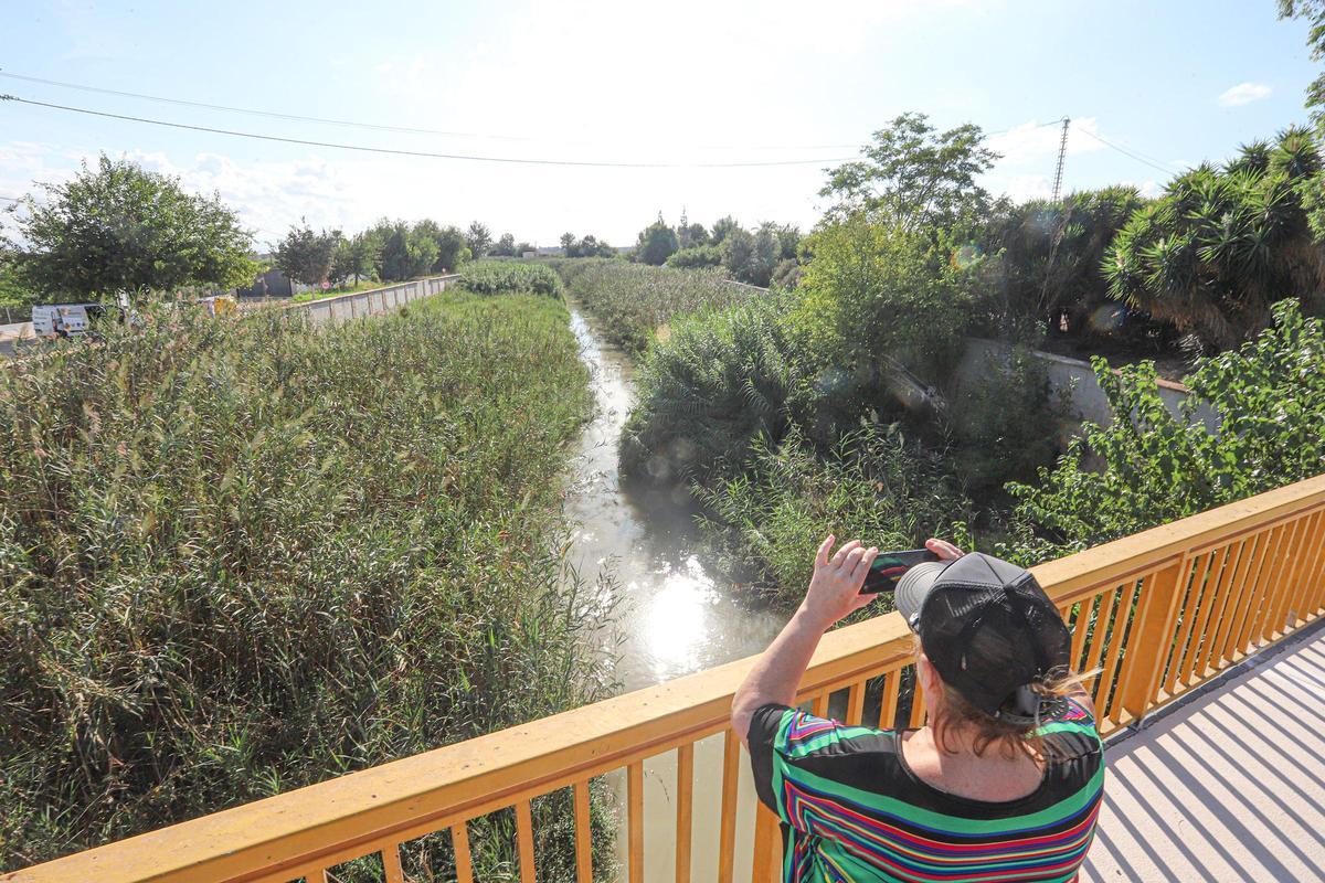 El río Segura a su paso por el término municipal de Benejúzar