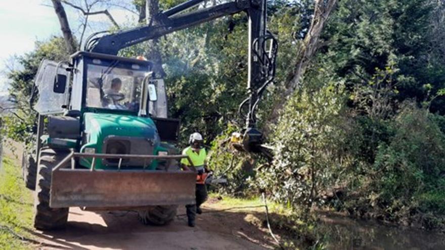 Labores de conservación y mantenimiento en el río Piles en Granda