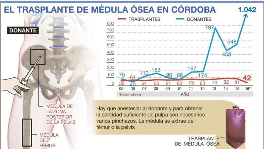 Córdoba bate récord al lograr en un mes 500 donantes de médula