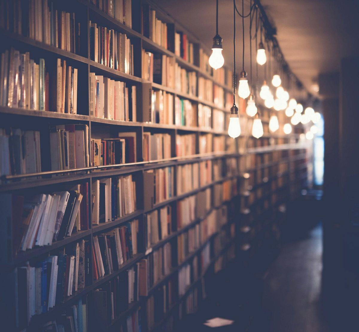 Dinamarca vol incitar a la lectura amb la supressió de l’IVA dels llibres Dinamarca vol incitar a la lectura amb la supressió de l’IVA dels llibres