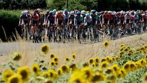 Toulouse (France), 16/07/2025.- The peloton ride past sunflower fields during the 11th stage of the Tour de France cycling race over 156.8km around Toulouse, France, 16 July 2025. (Ciclismo, Francia) EFE/EPA/CHRISTOPHE PETIT TESSON