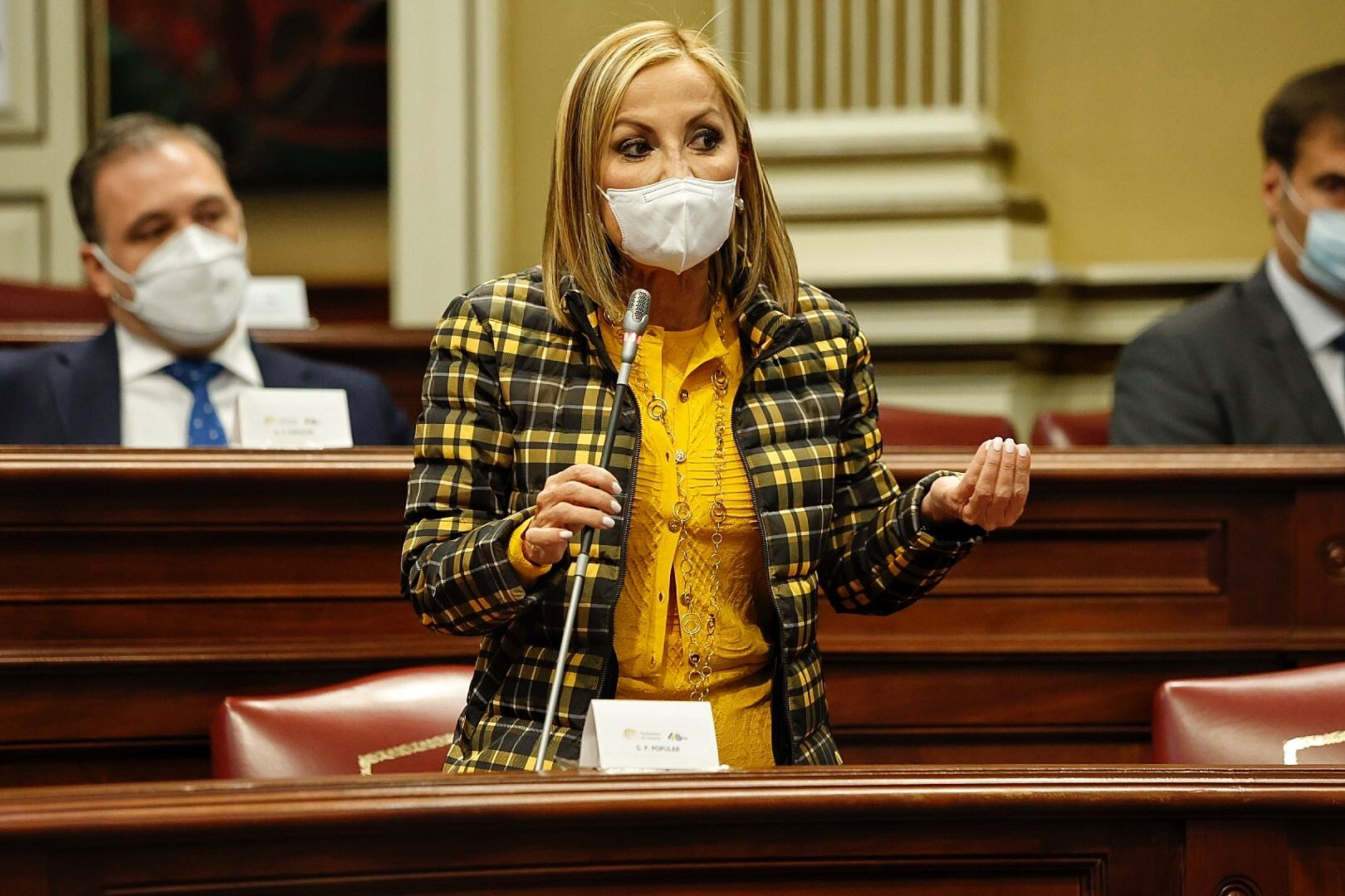 Pleno en el Parlamento de Canarias (9/2/21)
