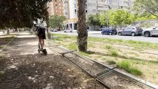 La rotura de vallas compromete la seguridad al paso del TRAM por Miriam Blasco en Alicante
