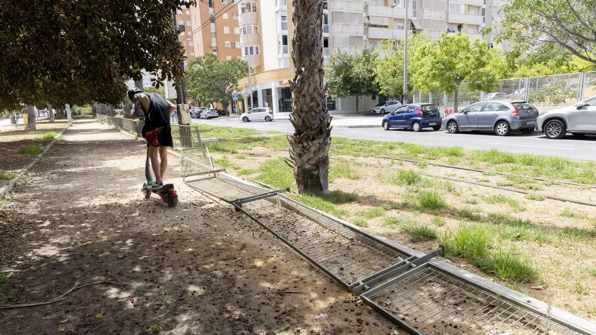 La rotura de vallas compromete la seguridad al paso del TRAM por Miriam Blasco en Alicante