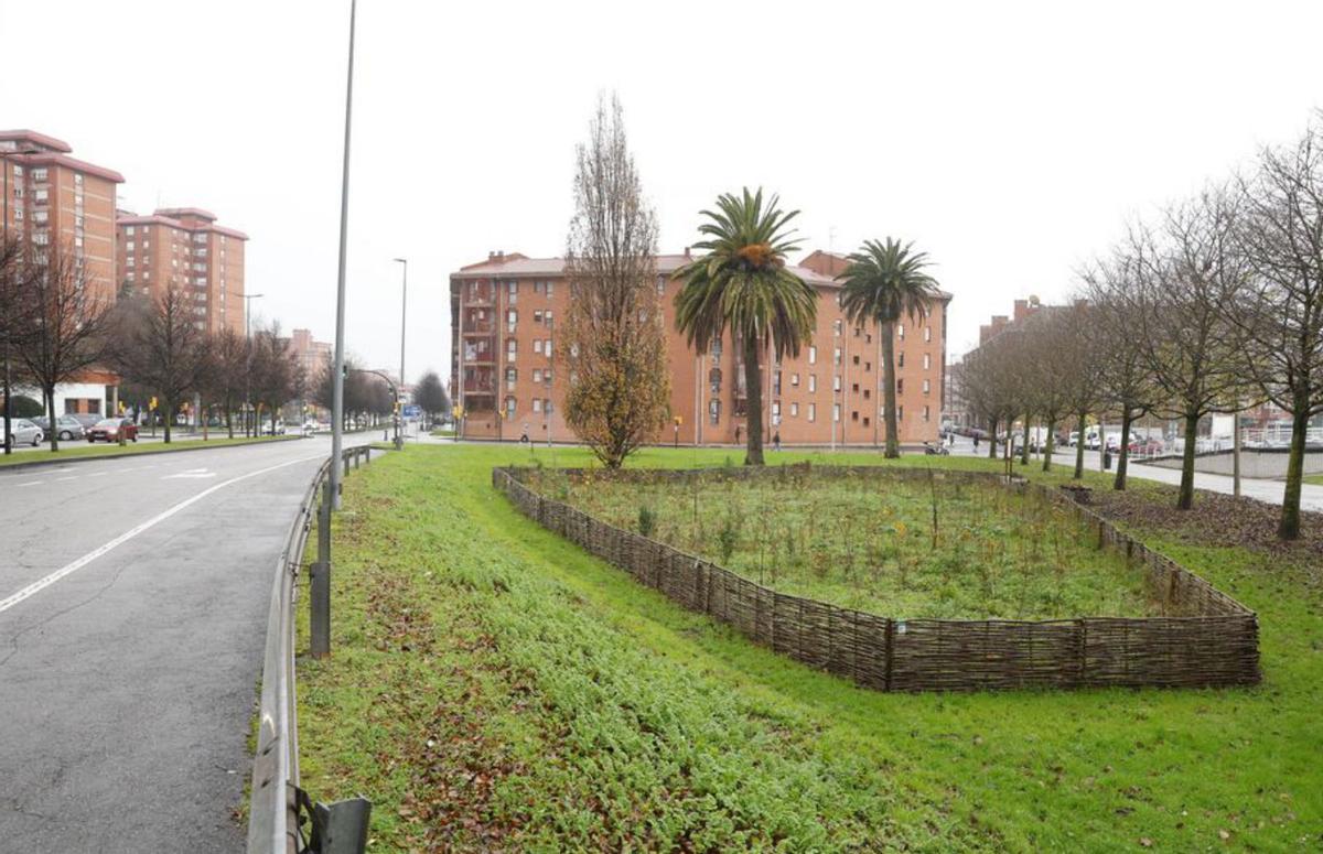 Minibosque plantado junto al polideportivo de El Natahoyo-Moreda.
